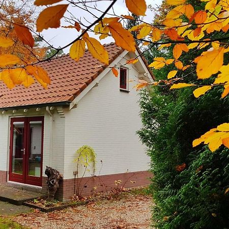 Dennenhuis Vaassen Exteriér fotografie