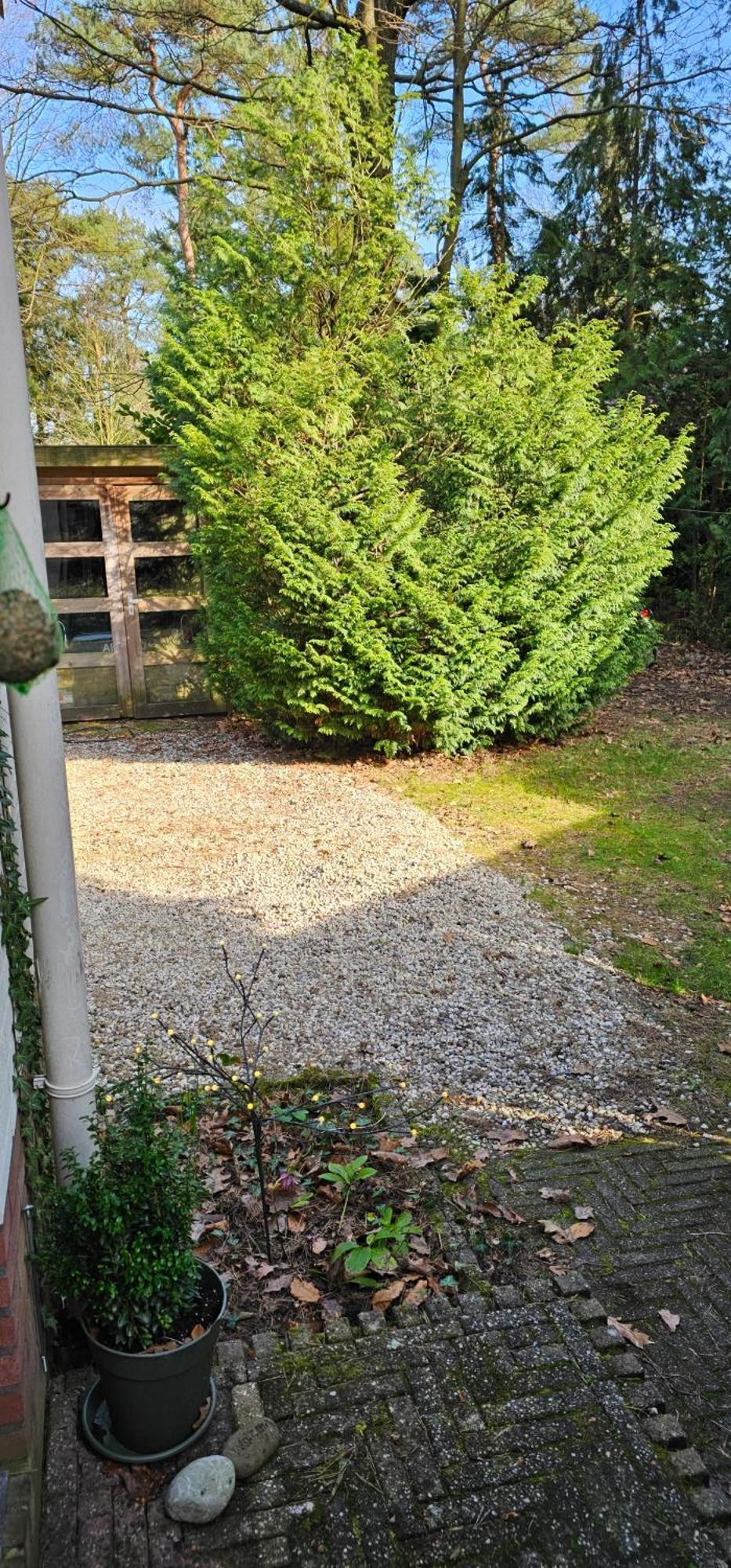 Dennenhuis Vaassen Exteriér fotografie