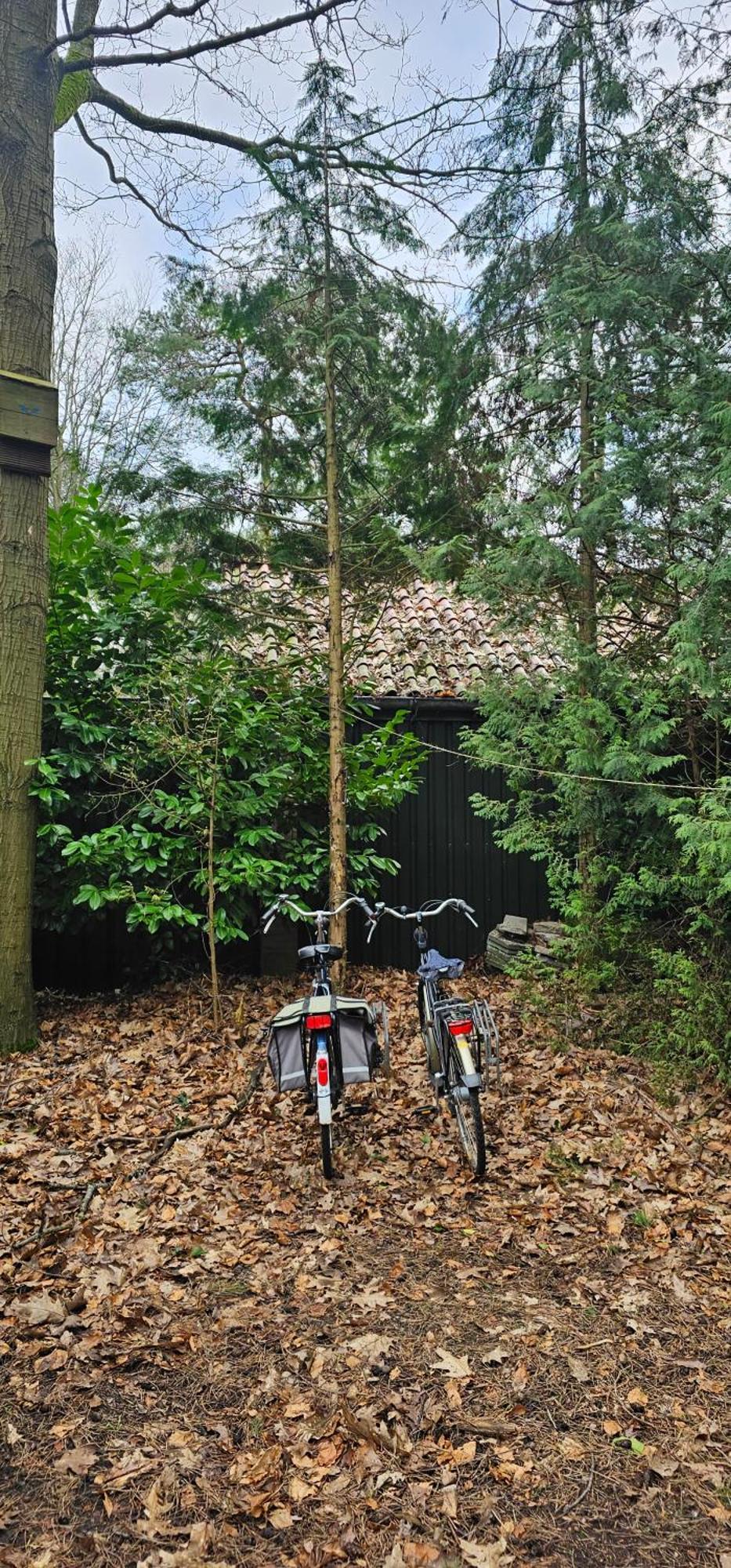 Dennenhuis Vaassen Exteriér fotografie