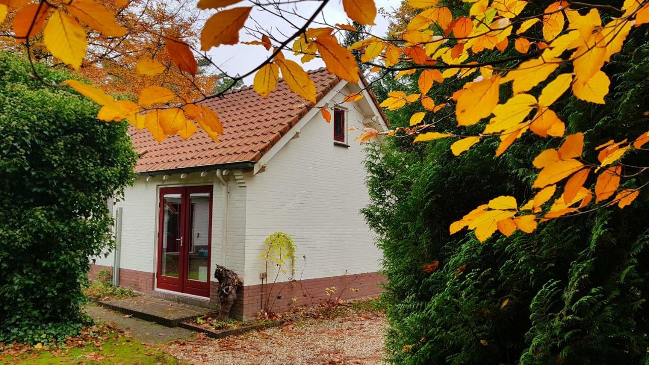 Dennenhuis Vaassen Exteriér fotografie