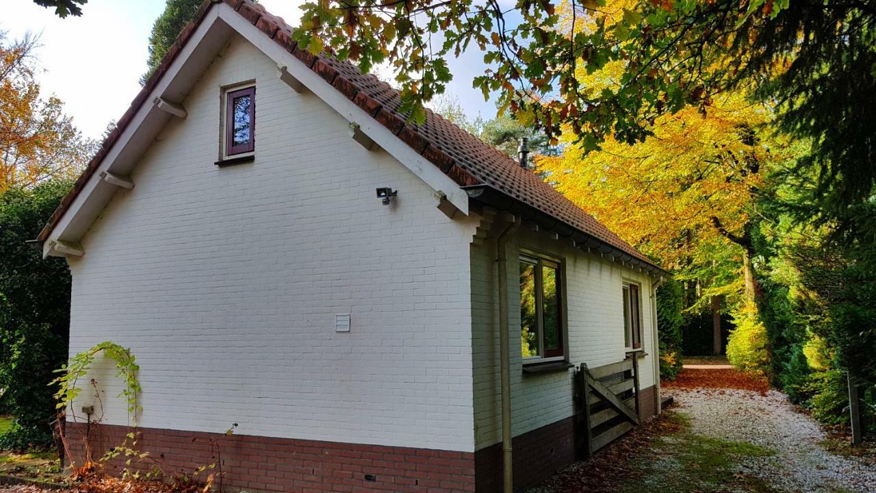 Dennenhuis Vaassen Exteriér fotografie