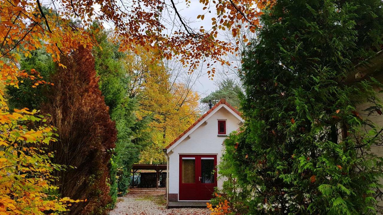 Dennenhuis Vaassen Exteriér fotografie