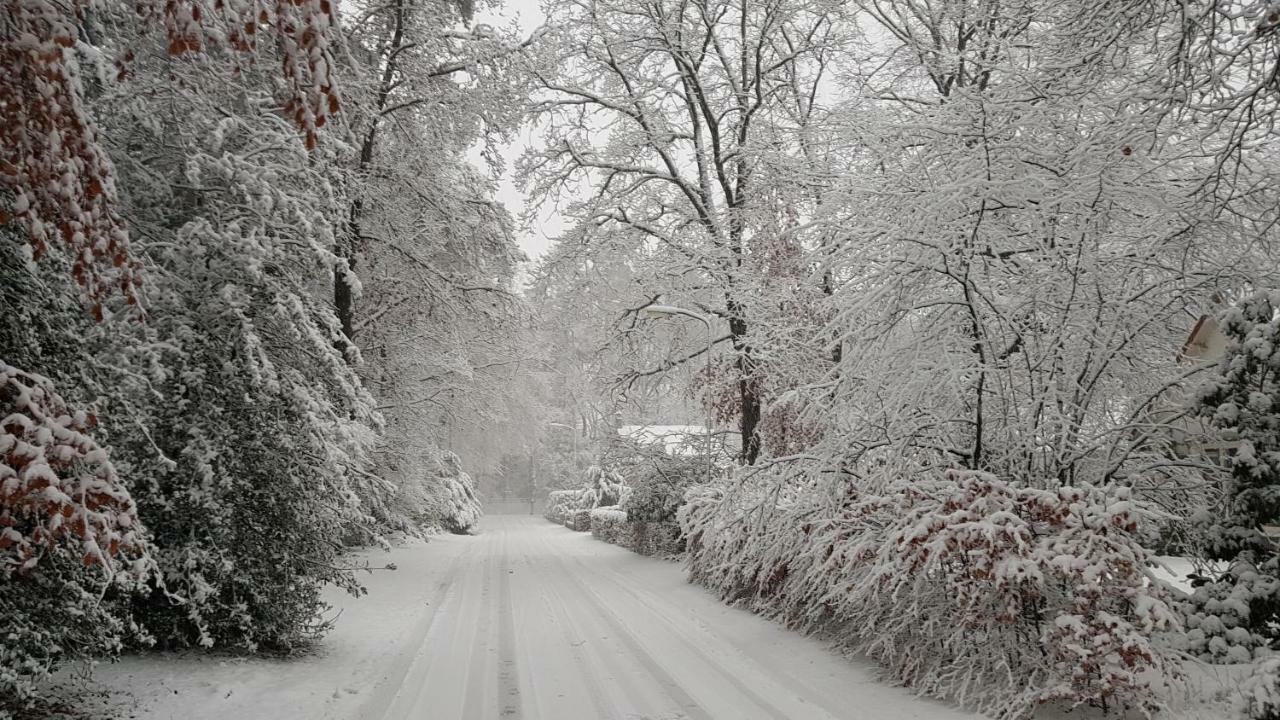 Dennenhuis Vaassen Exteriér fotografie
